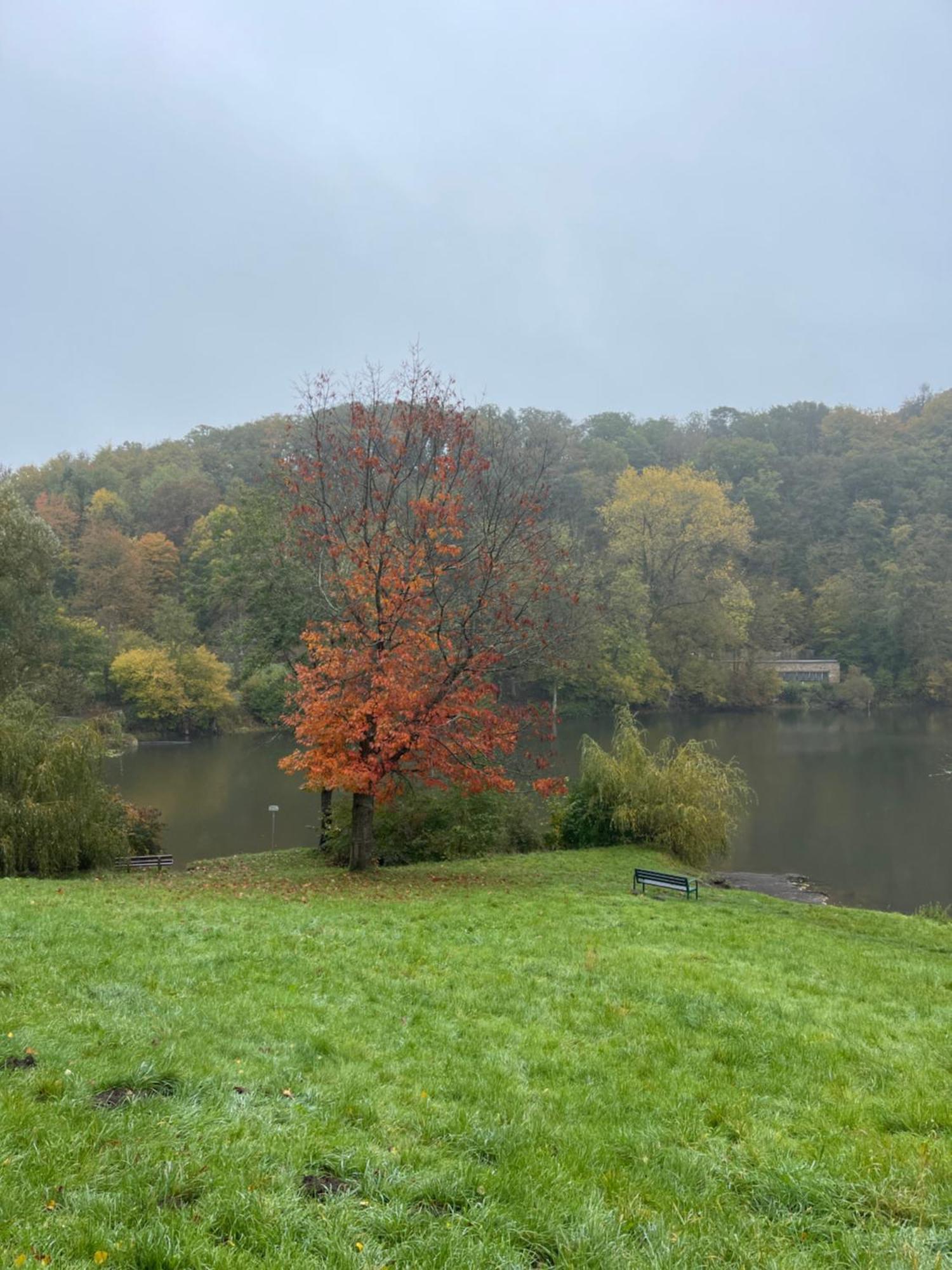 Ferienhaus Eifelstuben Mit Charme - Bauernstube Vulkaneifel - Naehe See Und Burgruine Ulmen Екстериор снимка